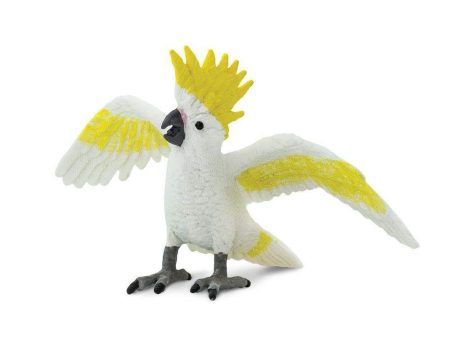 Cockatoo Toy For Sale