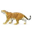 Jaguar Toy Online now