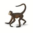 Spider Monkey Toy Sale