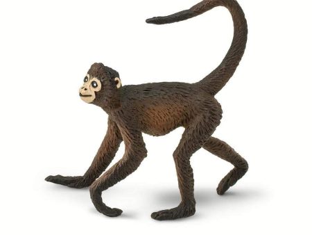 Spider Monkey Toy Sale