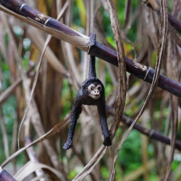 Spider Monkey Toy Sale