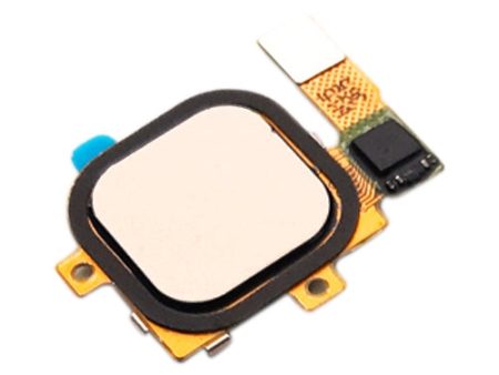 Fingerprint Sensor Flex Cable for Google Nexus 6P(Gold) Online Hot Sale